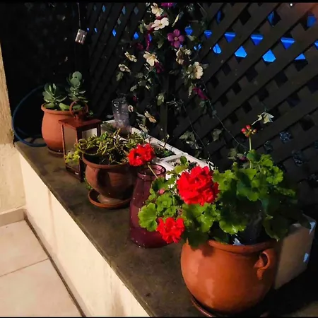 Σπίτι διακοπών Queens Garden 2bedroom Vintage Townhouse Πάφος
